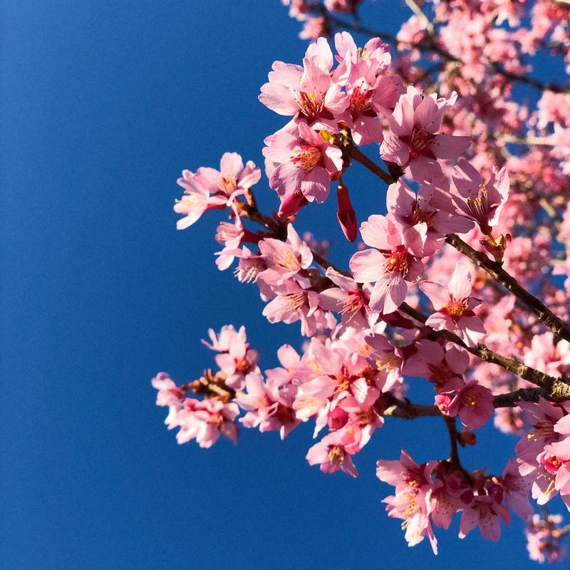 夏日爵士 | 在热辣阳光下纵享惬意