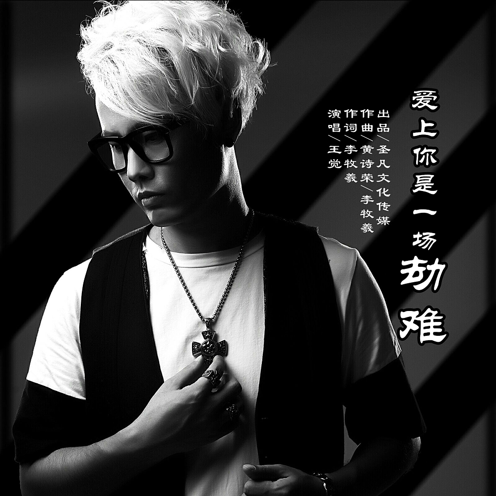 爱上你是一场劫难