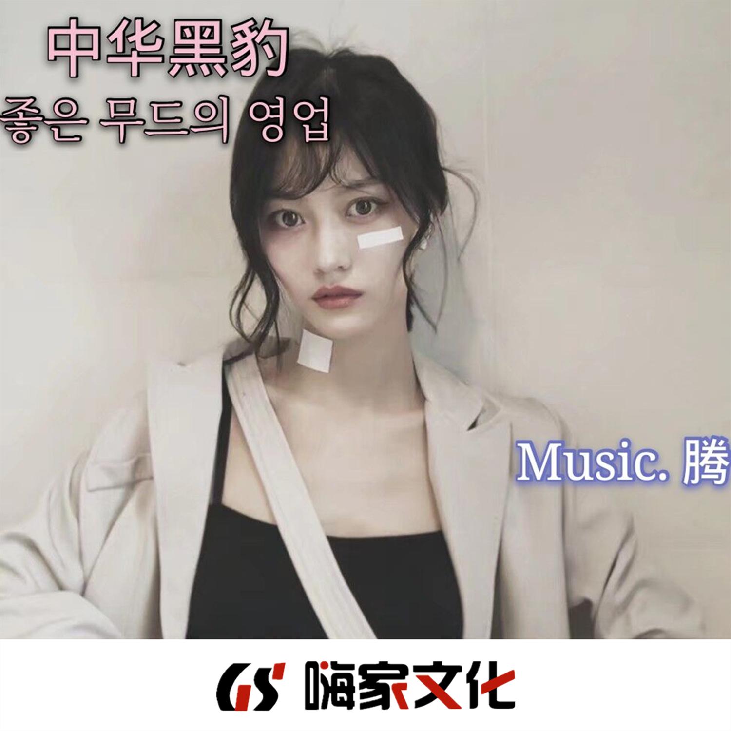 如果命中注定DJ