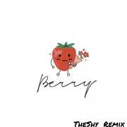 李佳隆-Berry（TheShy remix）