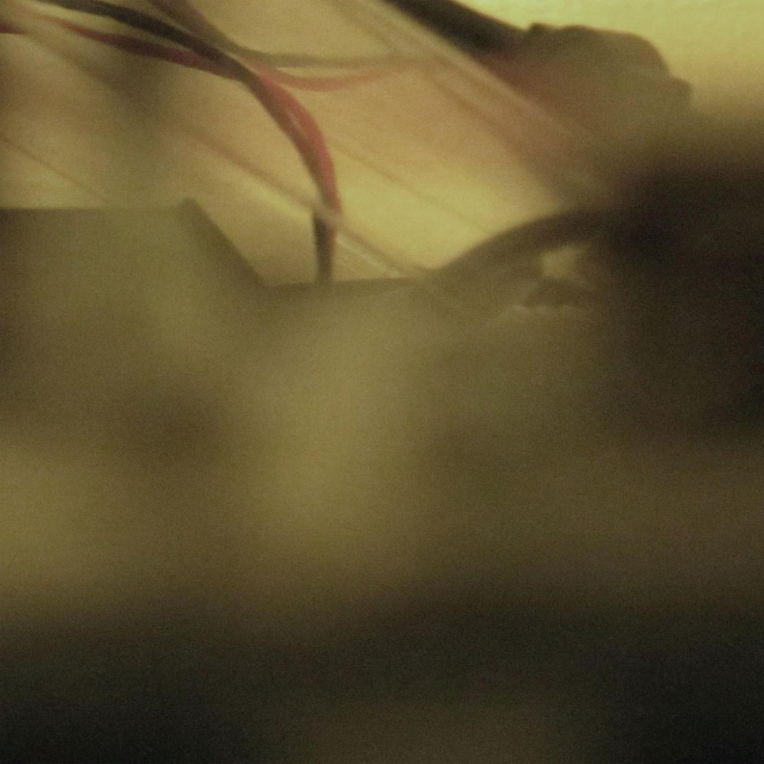 Abstracts on Solitude