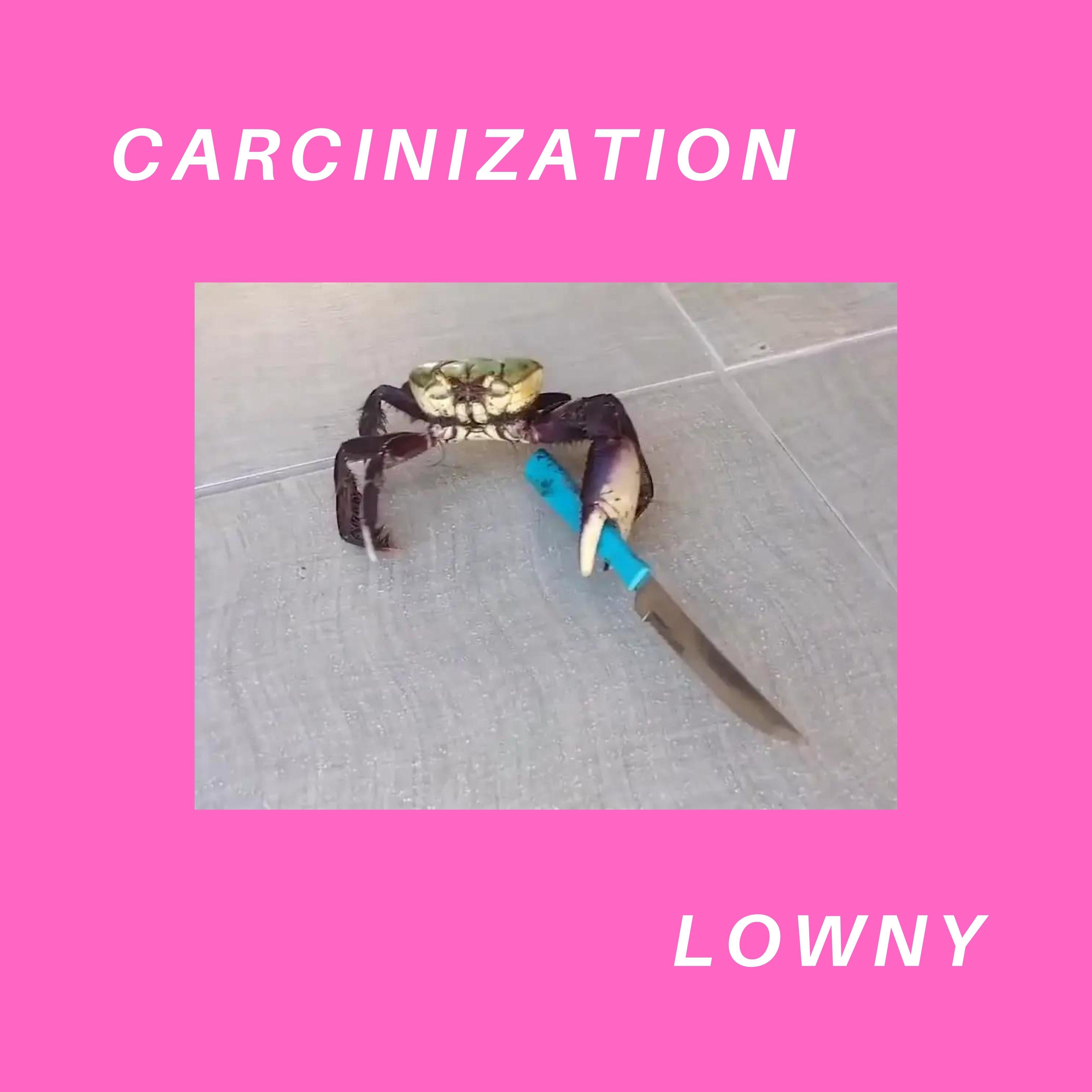 Carncinisation Carcinization - Lowny - 单曲 - 网易云音乐