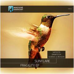 Fragility (Science & Reason Remix)