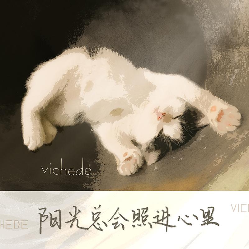 阳光总会照进心里