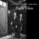 Trio Sonata No. 6 in G Major, BWV 530: I. Vivace专辑