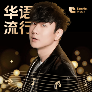 华语经典 | 那些属于我们青春的一首歌曲