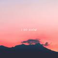 I DO KNOW ( feat FengYi )