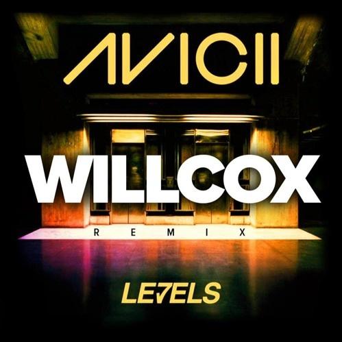 Levels (Willcox 2k17 Re-edit)