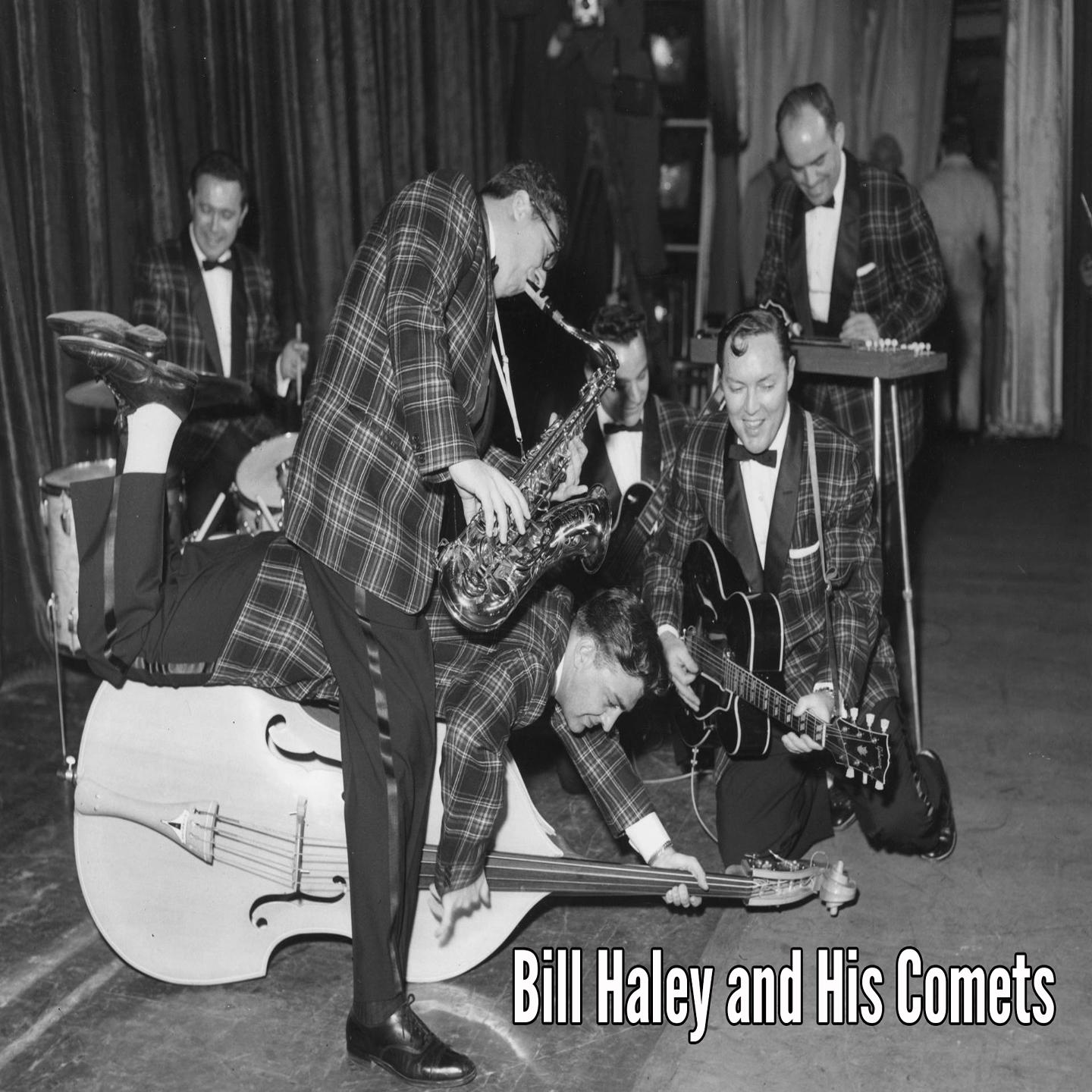 Bill Haley and His Comets