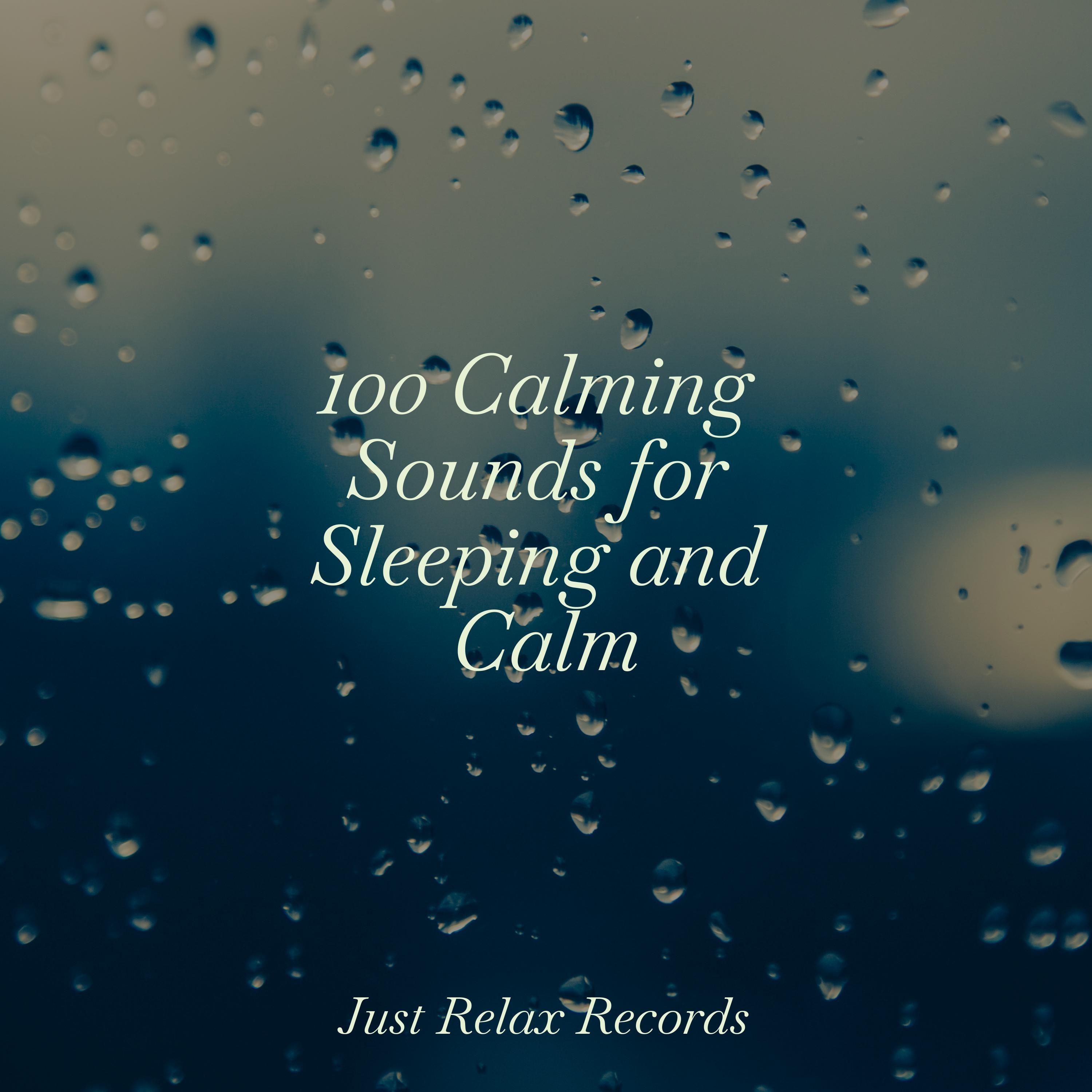 100 Calming Sounds for Sleeping and Calm - Nature Sound Collection - 专辑 ...