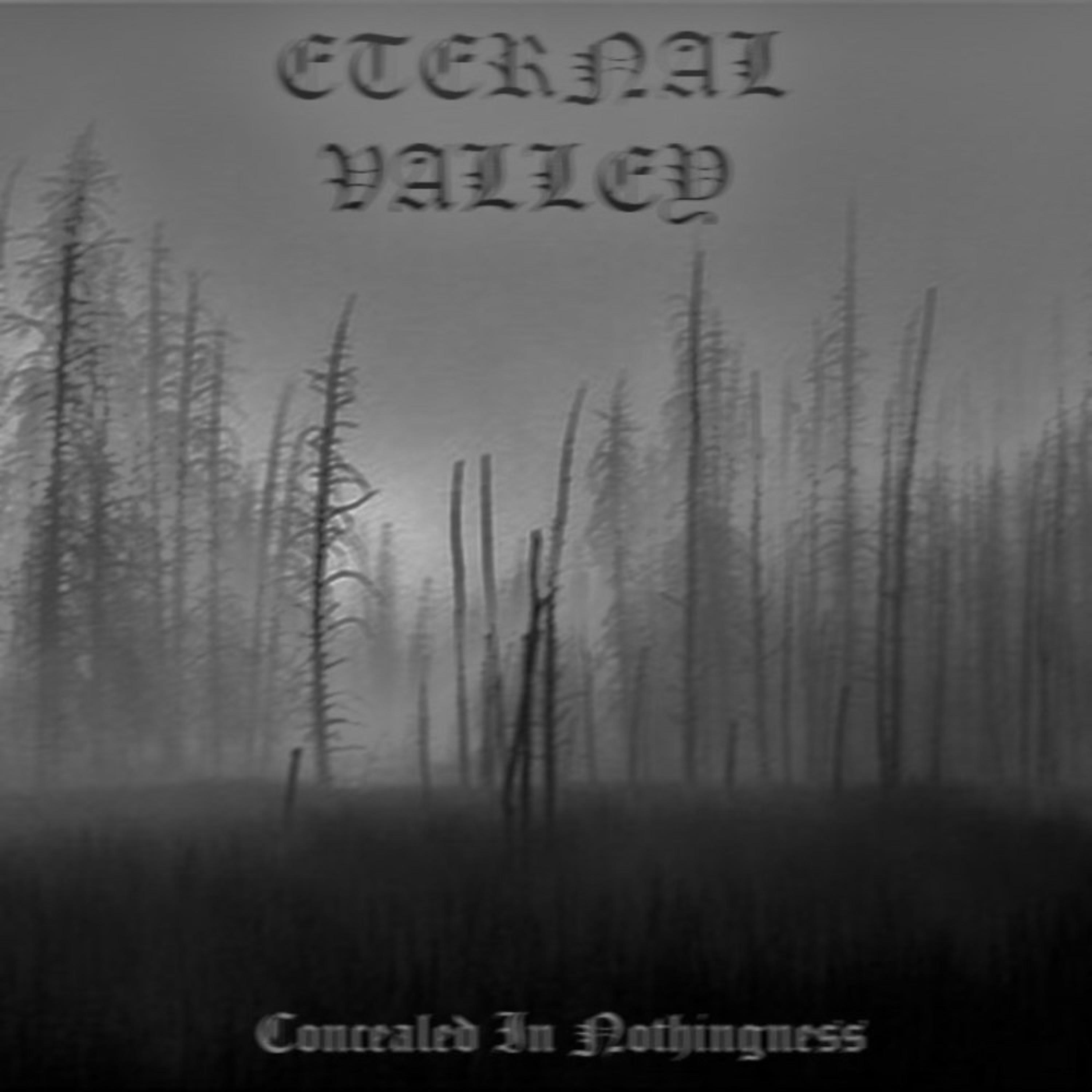 Concealed In Nothingness