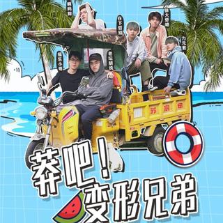 【bilibili】变形兄弟BGM合集（vlog必备）