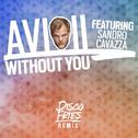 Without You (Disco Fries Remix)