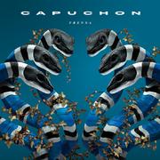 Capuchon