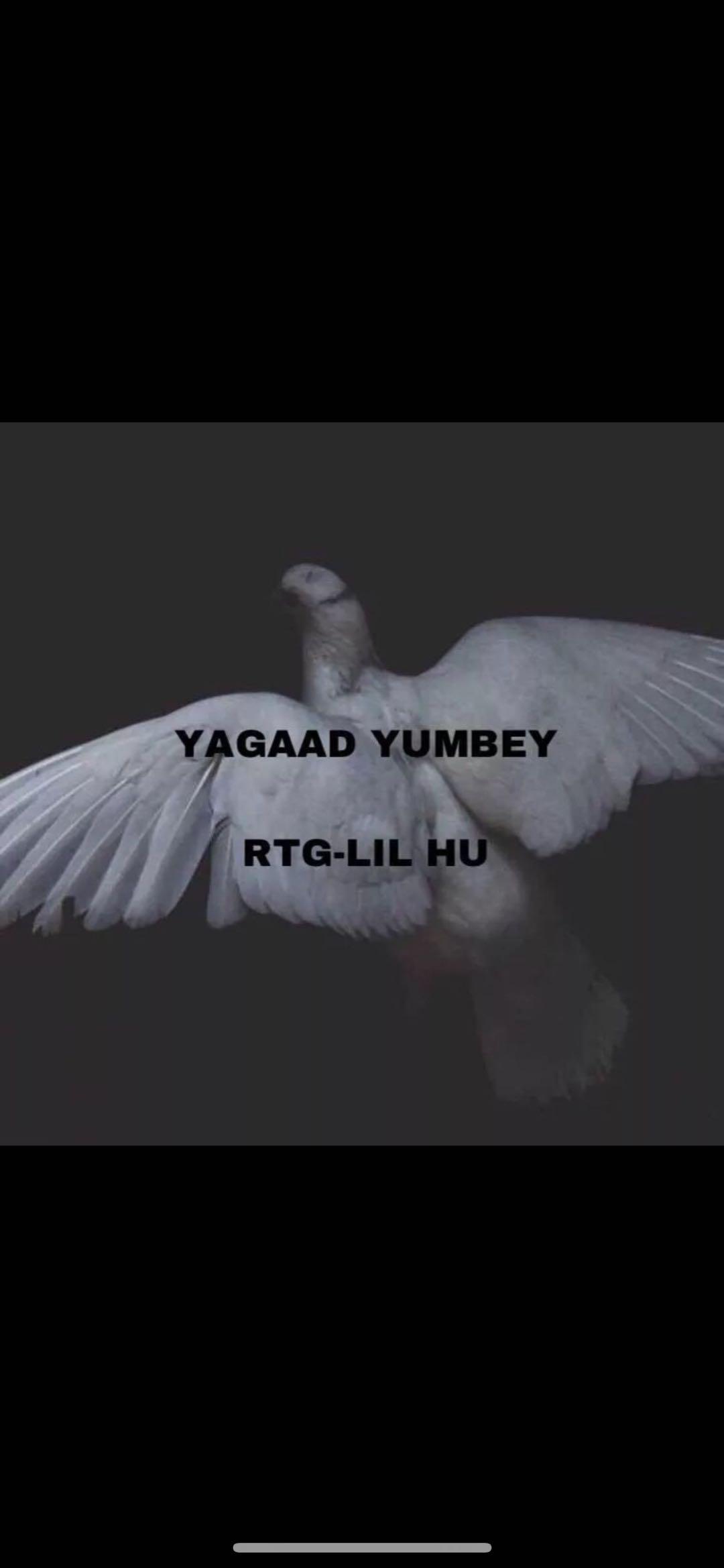 YAGAAD YUMBEY专辑