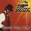 Reggae Max - Vol. 2专辑