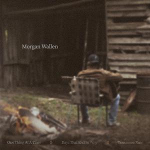 Morgan Wallen - Tennessee Fan (BK Instrumental) 无和声伴奏 （升1半音）