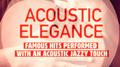 Acoustic Elegance, Vol. 1 (Famous Hits Performed With an Acoustic Jazzy Touch)专辑