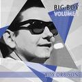 Big Boy Roy Orbison, Vol. 1