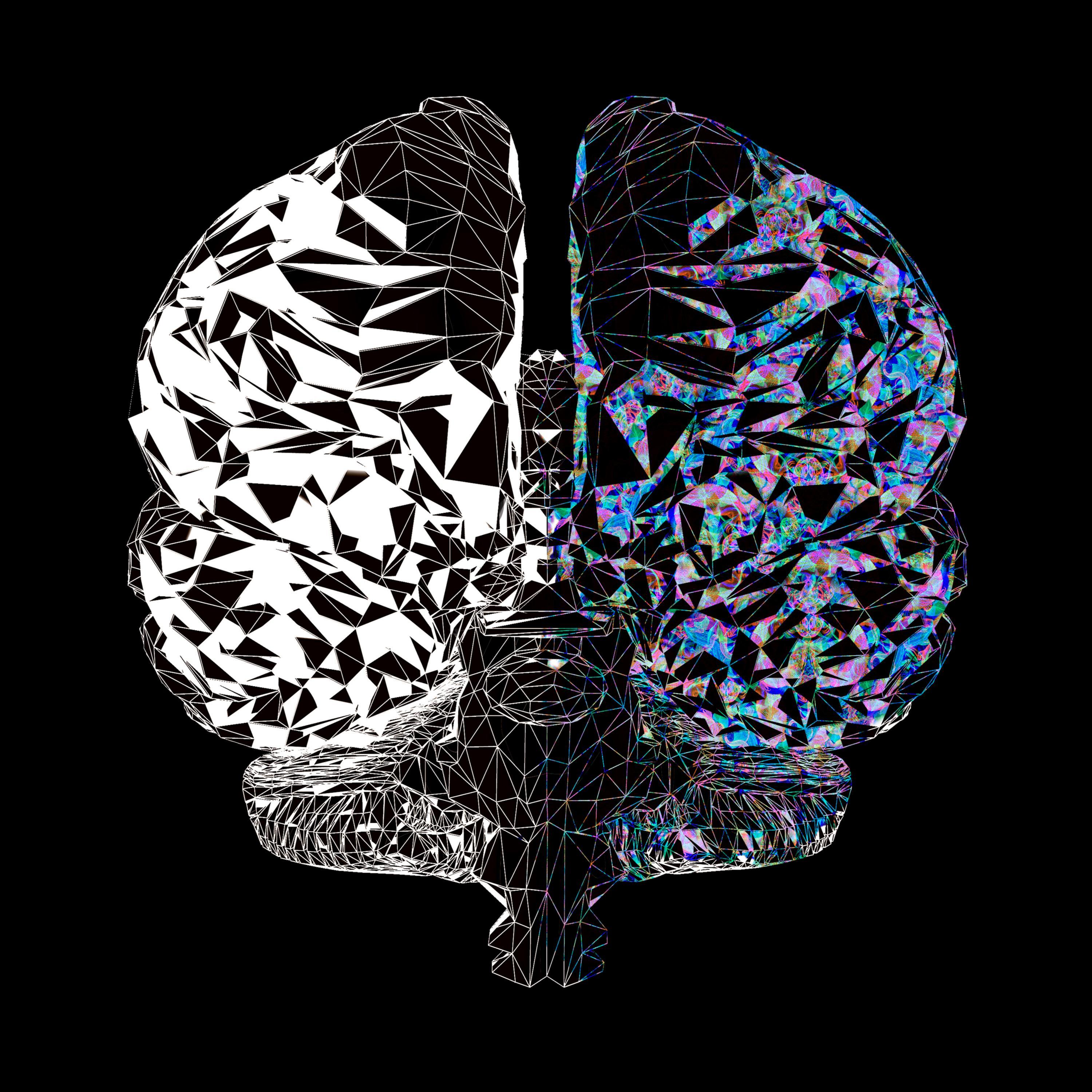 Dual-Brained²