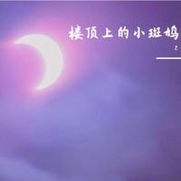 顶楼上的小斑鸠 队长(超品质原版伴奏)