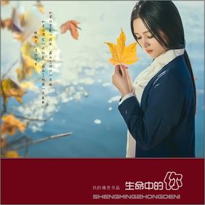 刘冲 - 不该流的泪滴(原版立体声伴奏) （降8半音）