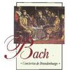 Brandenburg Concerto No. 4 in G Major, BWV 1049: II. Andante