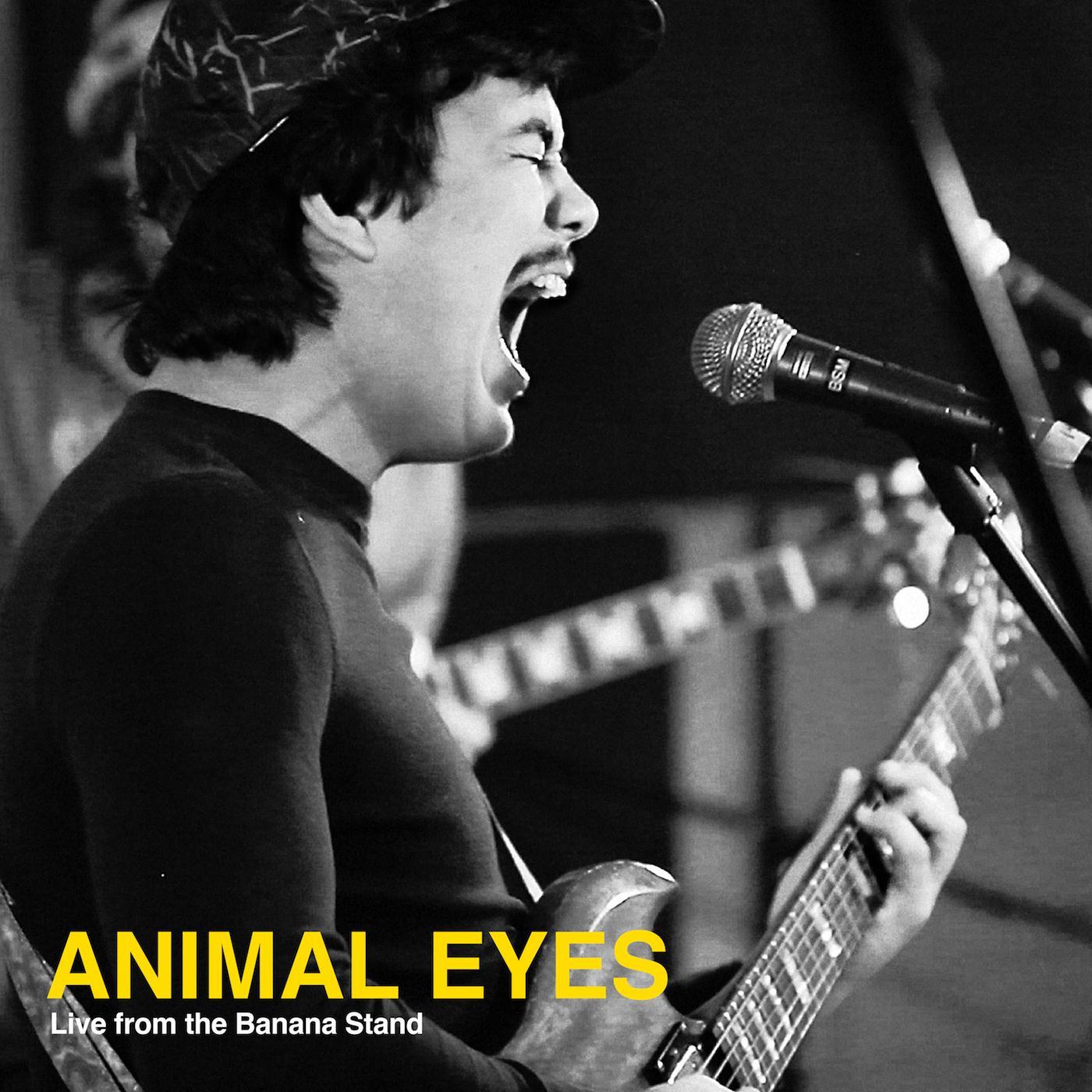 Animal Eyes - Leaves (Live)