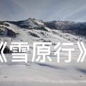 雪原行专辑