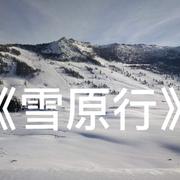 雪原行专辑