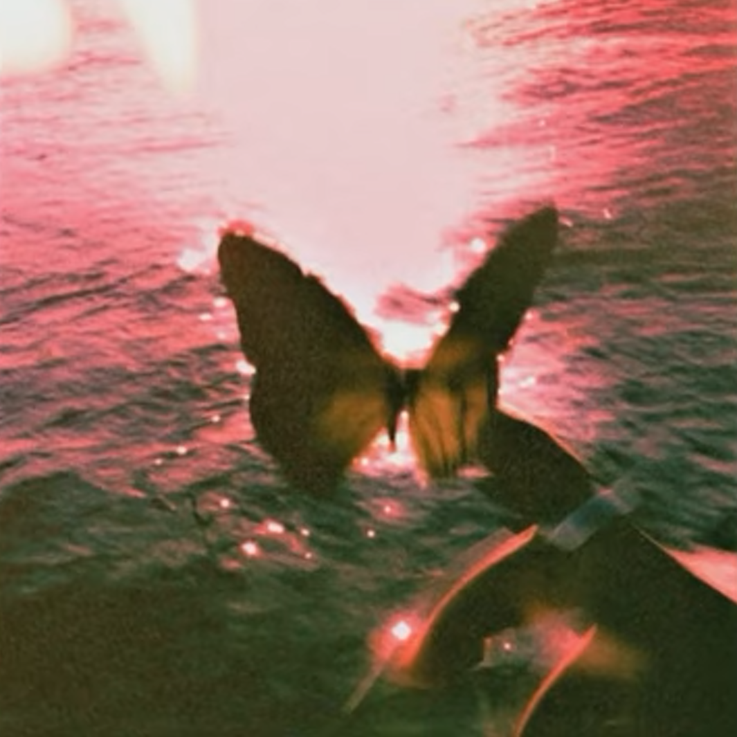 [FREE]