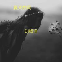 DJ杨洋 - 夏天的风（原版伴奏）