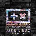 Forbidden Voices (Jake Liedo Remix)