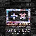 Forbidden Voices (Jake Liedo Remix)专辑