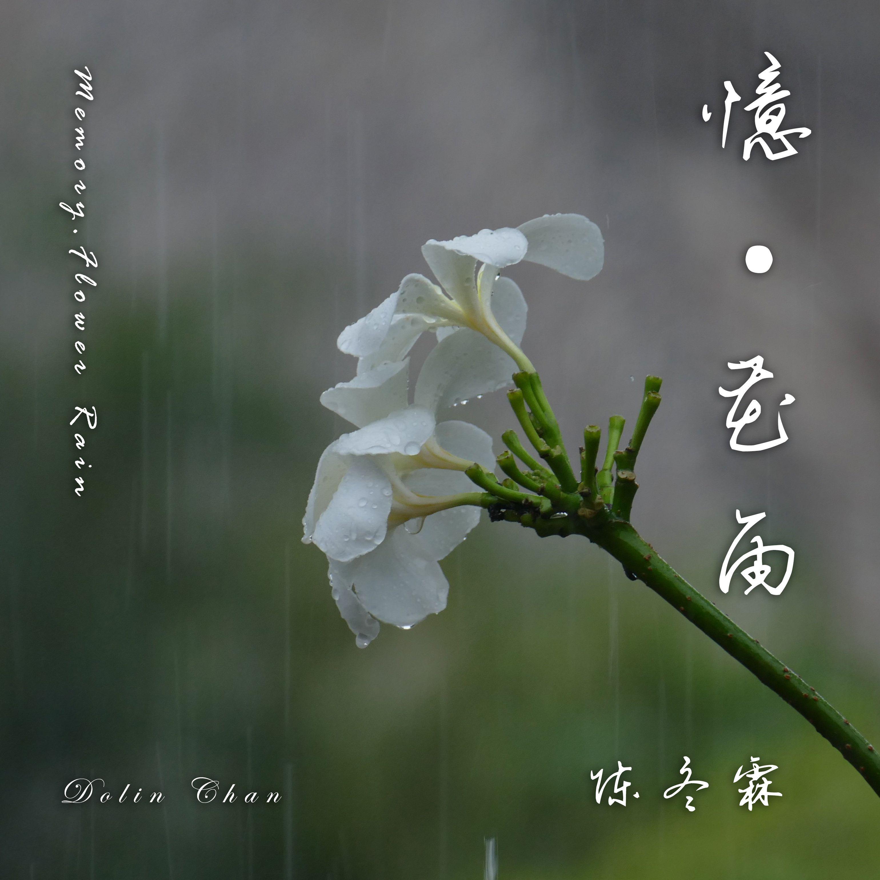 忆·花雨