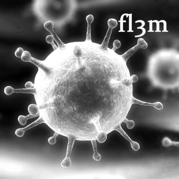 FL3M