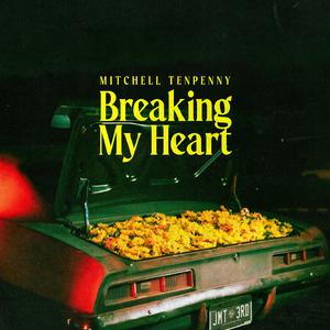 Mitchell Tenpenny - Breaking My Heart (BK Karaoke) 带和声伴奏