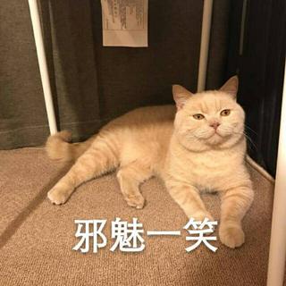 刷题背单词专用 老铁考研加油