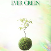 EVER GREEN