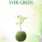 EVER GREEN专辑