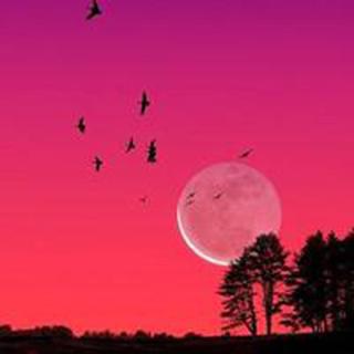 26588想你在下一个日子