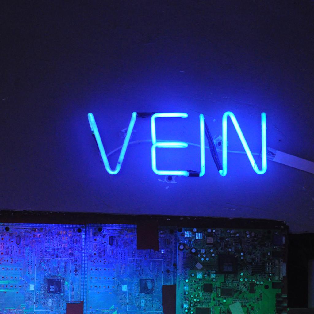 「VeinLab Ex」