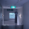 往日不再