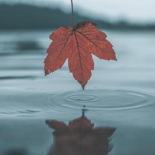 翻唱比原唱好听系列（个人向）