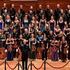 The King's Consort