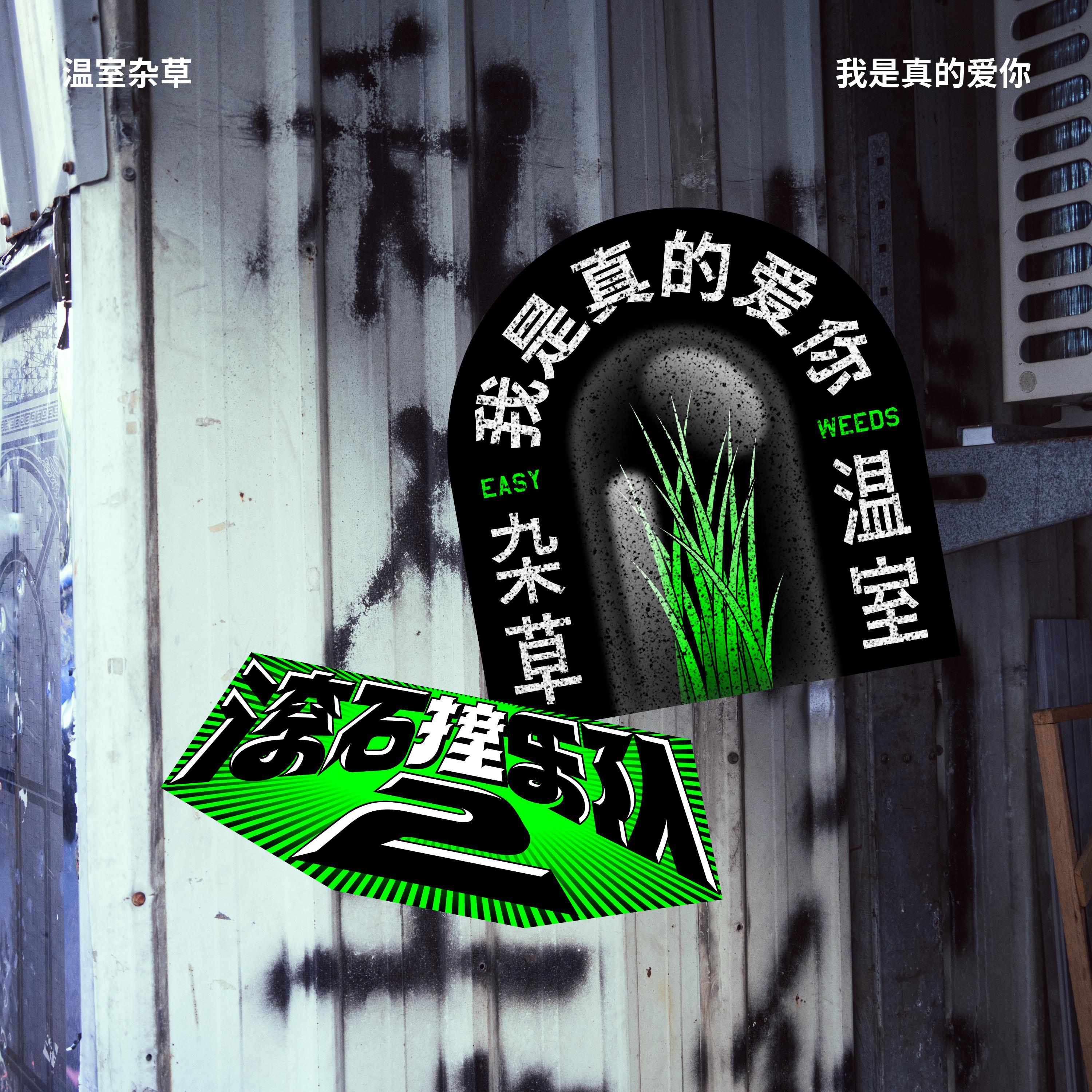 滚石撞乐队2 - 我是真的爱你