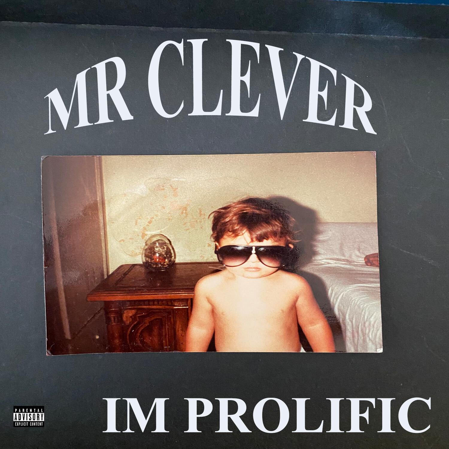 Mr. Clever - Sluggin and Blue Raggin