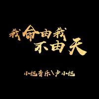 小旭音乐 卢小旭-我命由我不由天 伴奏 无人声 伴奏 AI