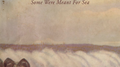 Some Were Meant For Sea专辑
