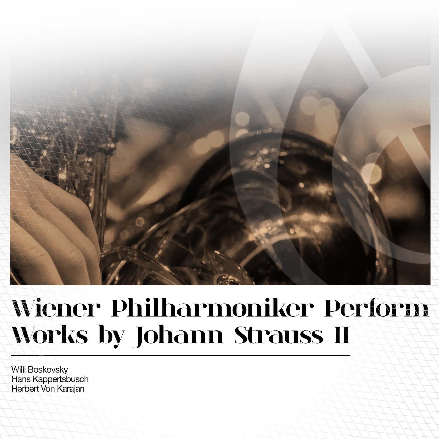 Wiener Philharmoniker Perform Works by Johann Strauss II